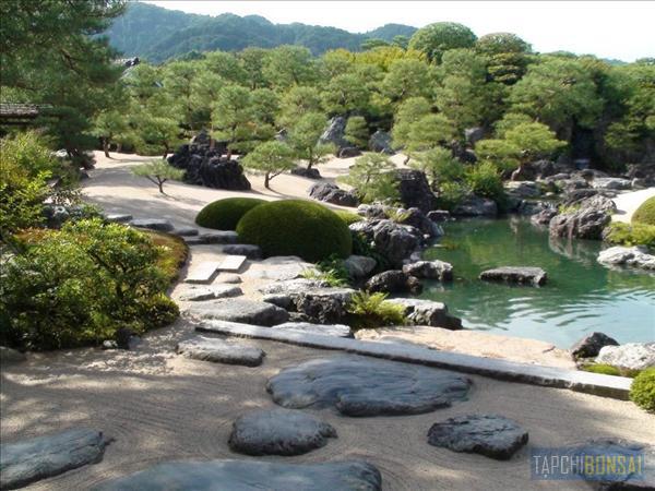 Bonsai, cay canh nghe thuat, cây cảnh nghệ thuật, cay the, cây thế, triển lãm bonsai, trien lam bonsai, triển lãm cây thế, trien lam cay the